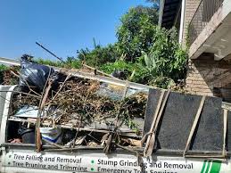 Best Commercial Junk Removal  in Mount Dora, FL