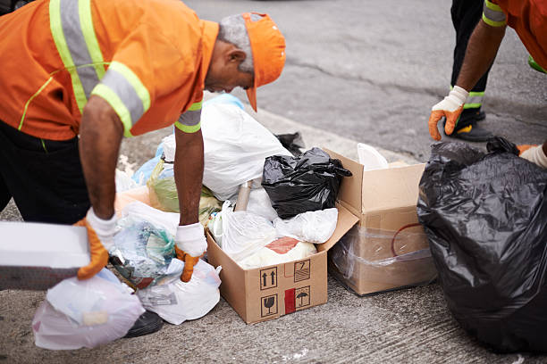 Best Dumpster Rental Services  in Mount Dora, FL